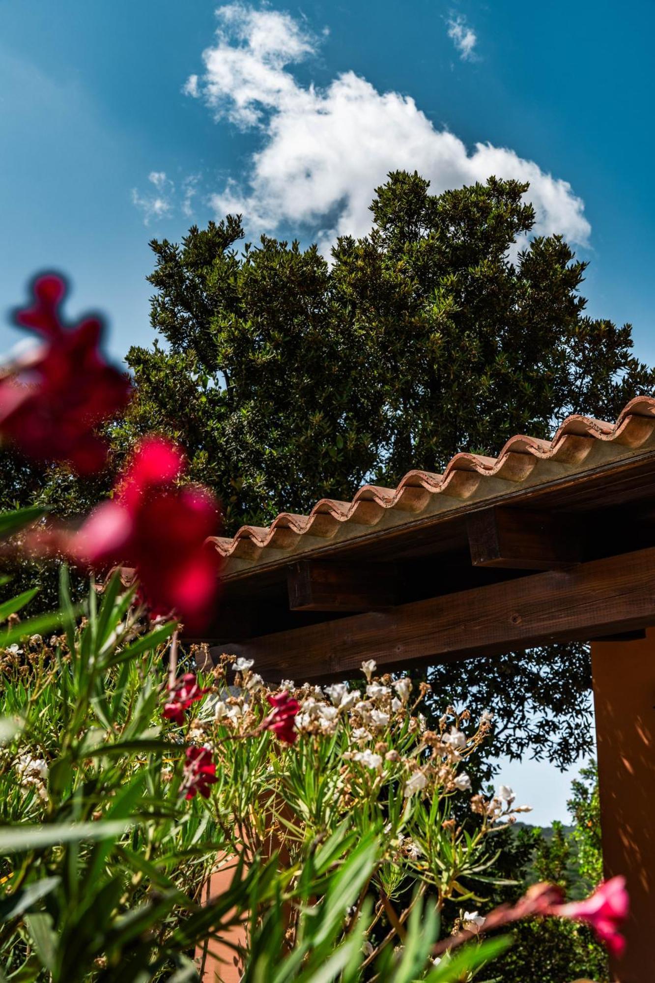 Casagliana Suite Resort Olbia Extérieur photo